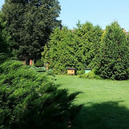 Kwiatowa Zagroda Bialowieza Exterior photo