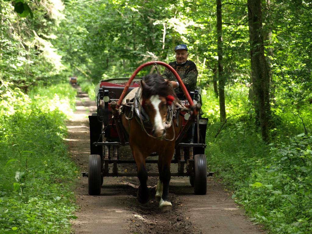 Kwiatowa Zagroda Bialowieza Exterior photo