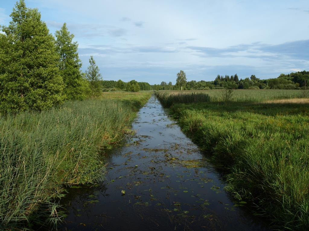 Kwiatowa Zagroda Bialowieza Exterior photo