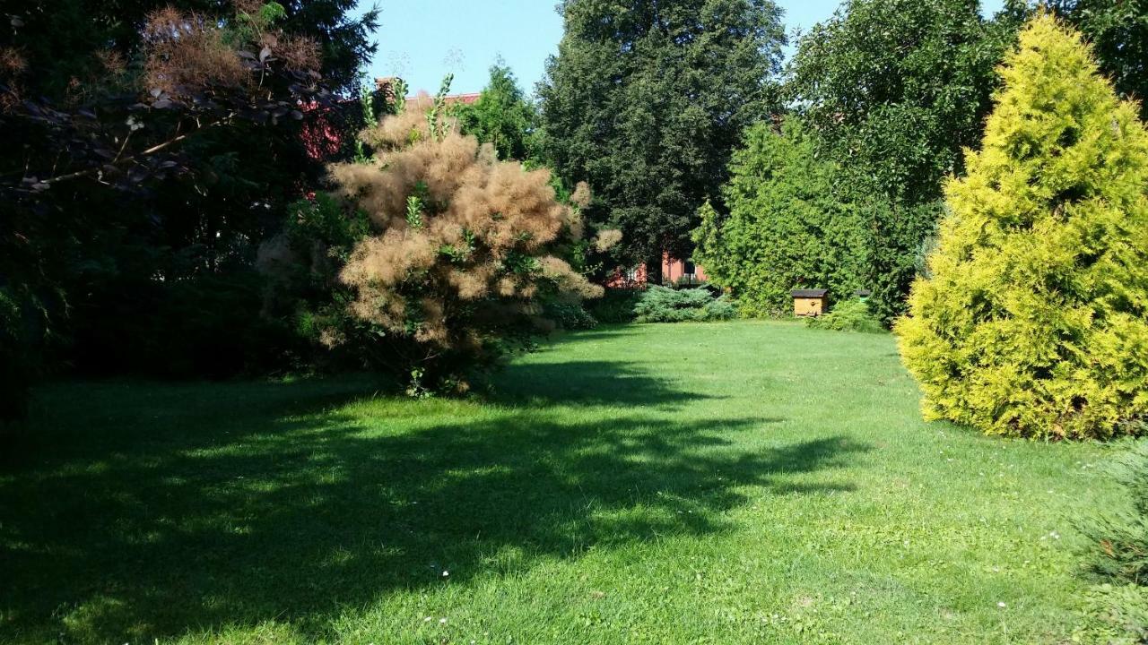Kwiatowa Zagroda Bialowieza Exterior photo