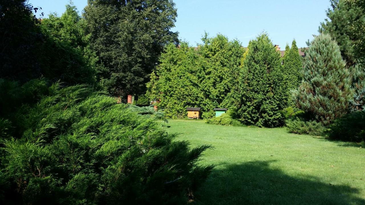 Kwiatowa Zagroda Bialowieza Exterior photo